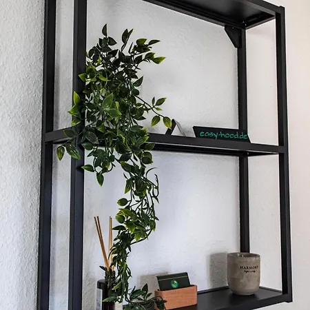 Easystayii 6p Switch Tv * Krefeld