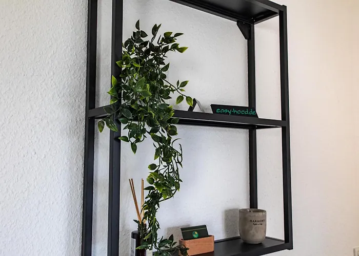 Easystayii 6p Switch Tv * Krefeld